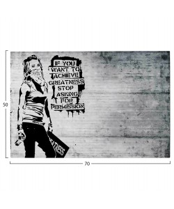 ΠΙΝΑΚΑΣ TOIXOY ΣΕΙΡΑ GOBI HM4831 ΕΚΤΥΠΩΜΕΝΟΣ ΚΑΜΒΑΣ 70x3(πάχος)x50Yεκ.