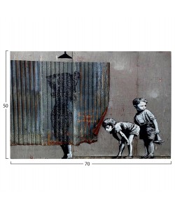 ΠΙΝΑΚΑΣ TOIXOY ΣΕΙΡΑ GOBI HM4821 ΕΚΤΥΠΩΜΕΝΟΣ ΚΑΜΒΑΣ 70x3(πάχος)x50Yεκ.