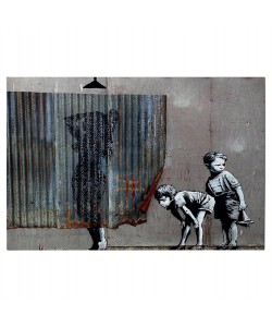 ΠΙΝΑΚΑΣ TOIXOY ΣΕΙΡΑ GOBI HM4821 ΕΚΤΥΠΩΜΕΝΟΣ ΚΑΜΒΑΣ 70x3(πάχος)x50Yεκ.