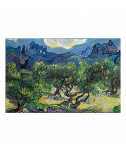 ΠΙΝΑΚΑΣ TOIXOY ΣΕΙΡΑ GOBI HM4847 ΕΚΤΥΠΩΜΕΝΟΣ ΚΑΜΒΑΣ 70x3(πάχος)x45Yεκ.