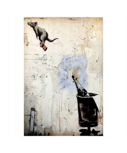 ΠΙΝΑΚΑΣ TOIXOY ΣΕΙΡΑ GOBI HM4826 ΕΚΤΥΠΩΜΕΝΟΣ ΚΑΜΒΑΣ 50x3(πάχος)x70Yεκ.