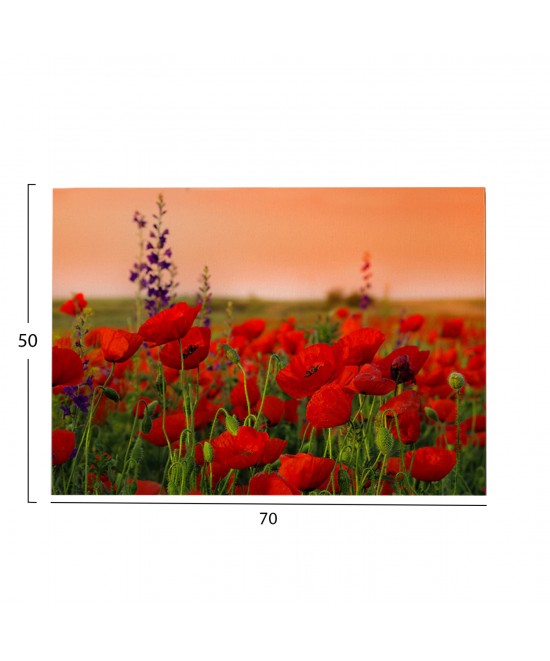 ΠΙΝΑΚΑΣ TOIXOY ΣΕΙΡΑ GOBI HM4760 ΕΚΤΥΠΩΜΕΝΟΣ ΚΑΜΒΑΣ 70x3(πάχος)x50Υεκ.