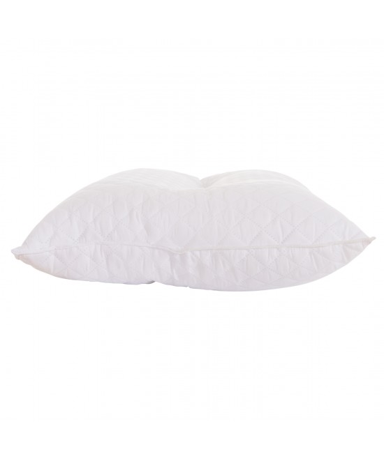 ΜΑΞΙΛΑΡΙ ΥΠΝΟΥ ANATOMIKO NOCTUA HM12173 POLYESTER HC SILICONIZED ΓΕΜΙΣΗ 50x70εκ. ΜΑΞΙΛΑΡΙ ΥΠΝΟΥ ANATOMIKO NOCTUA HM12173 POLYESTER HC SILICONIZED ΓΕΜΙΣΗ 50x70εκ.