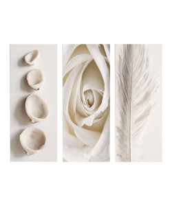 ΠΙΝΑΚΑΣ ΤΡΙΠΤΥΧΟ MDF NATURAL ELEMENTS HM7204.05 60X0,3X50 εκ.