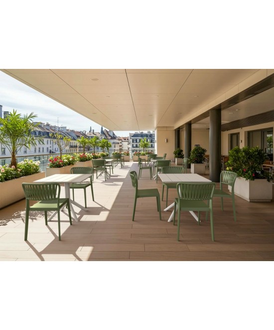 PORTOFINO OLIVE GREEN ΚΑΡΕΚΛΑ ΠΟΛ/ΝΙΟΥ PORTOFINO OLIVE GREEN ΚΑΡΕΚΛΑ ΠΟΛ/ΝΙΟΥ