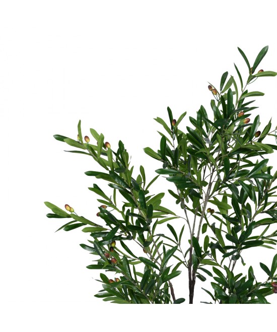 Διακοσμητικό φυτό Olive tree I σε γλάστρα Inart πράσινο pp Υ150εκ
