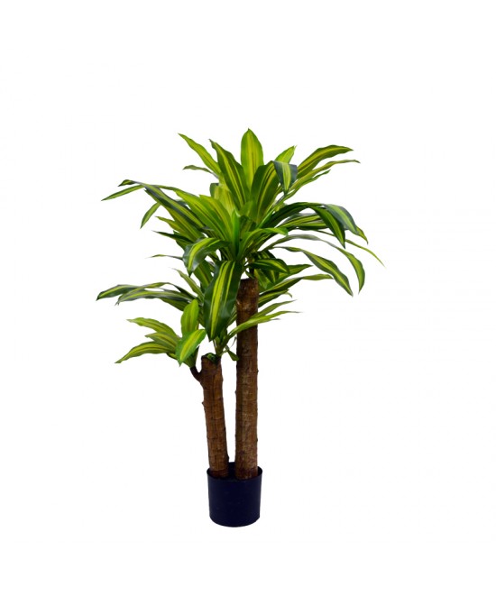 Διακοσμητικό φυτό  Dracaena σε γλάστρα Inart πράσινο pp Υ110εκ