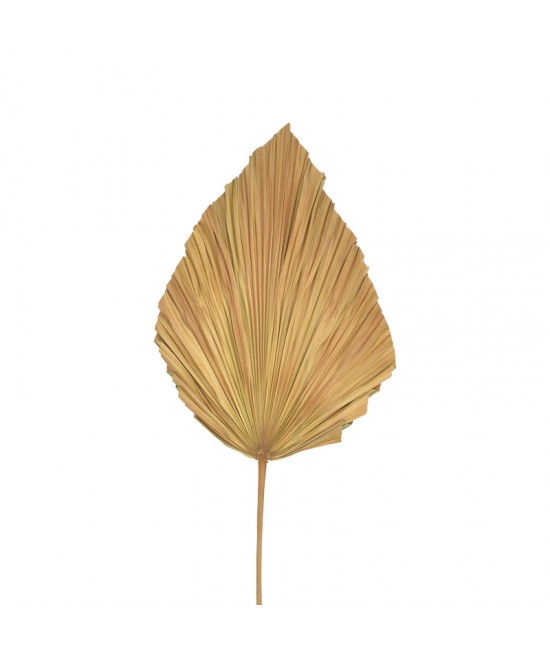 Διακοσμητικό φύλλο Walsy Inart palm leaf σε φυσική απόχρωση Υ135 εκ
