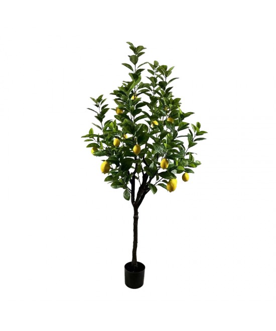 Διακοσμητικό φυτό Lemon tree σε γλάστρα Inart πράσινο pp Υ180εκ