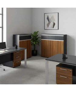 Ντουλάπια γραφείου επαγγελματικά Oscar pakoworld καρυδί-ανθρακί 200x40x120εκ