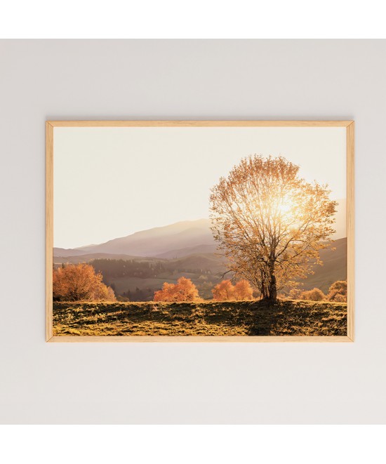 Πίνακας Vila pakoworld με ψηφιακή εκτύπωση και πλαίσιο 48x1.5x33εκ