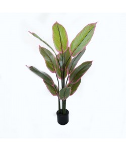 Διακοσμητικό φυτό σε γλάστρα Calathea Inart πράσινο Φ68x120εκ