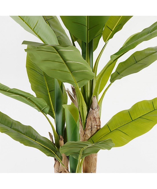 Διακοσμητικό φυτό σε γλάστρα Banana Tree Inart πράσινο Φ53x190εκ Διακοσμητικό φυτό σε γλάστρα Banana Tree Inart πράσινο Φ53x190εκ