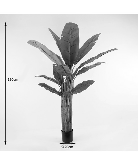 Διακοσμητικό φυτό σε γλάστρα Banana Tree Inart πράσινο Φ53x190εκ Διακοσμητικό φυτό σε γλάστρα Banana Tree Inart πράσινο Φ53x190εκ