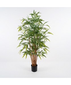 Διακοσμητικό φυτό σε γλάστρα Rhapis Palm Inart πράσινο Φ60x120εκ