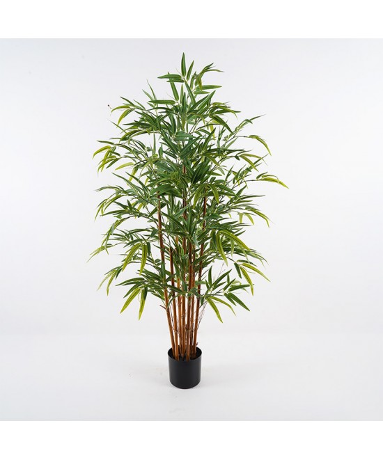 Διακοσμητικό φυτό σε γλάστρα Rhapis Palm Inart πράσινο Φ60x120εκ