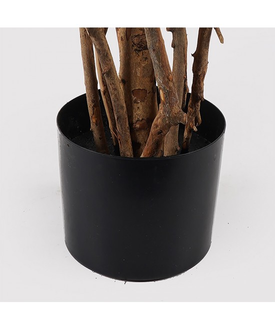 Διακοσμητικό φυτό σε γλάστρα Banyan Inart πράσινο Φ95x180εκ