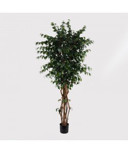 Διακοσμητικό φυτό σε γλάστρα Banyan Inart πράσινο Φ95x180εκ