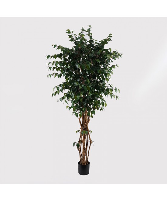 Διακοσμητικό φυτό σε γλάστρα Banyan Inart πράσινο Φ95x180εκ