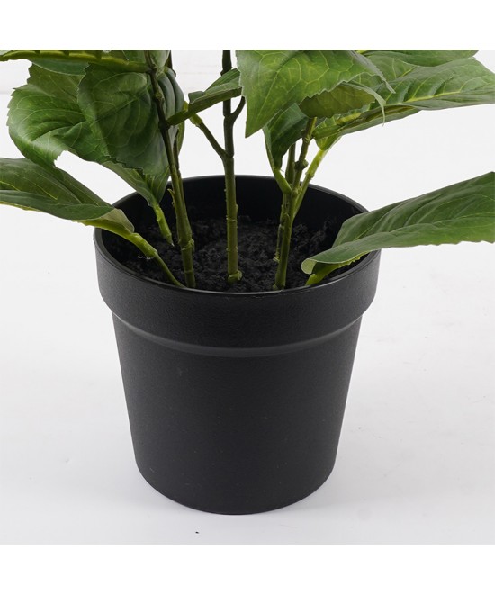 Διακοσμητικό φυτό σε γλάστρα Hydrangea Inart λευκό Φ35x50εκ