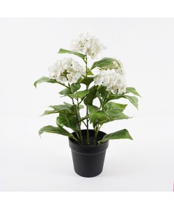 Διακοσμητικό φυτό σε γλάστρα Hydrangea Inart λευκό Φ35x50εκ