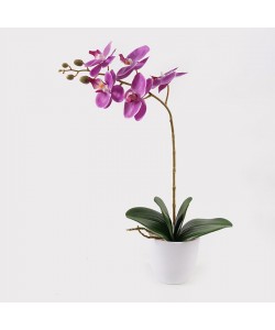 Διακοσμητικό φυτό σε γλάστρα Οrchid Beauty Inart 30x13x46εκ