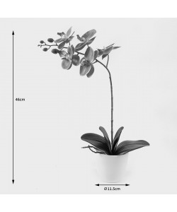 Διακοσμητικό φυτό σε γλάστρα Οrchid Beauty Inart 30x13x46εκ