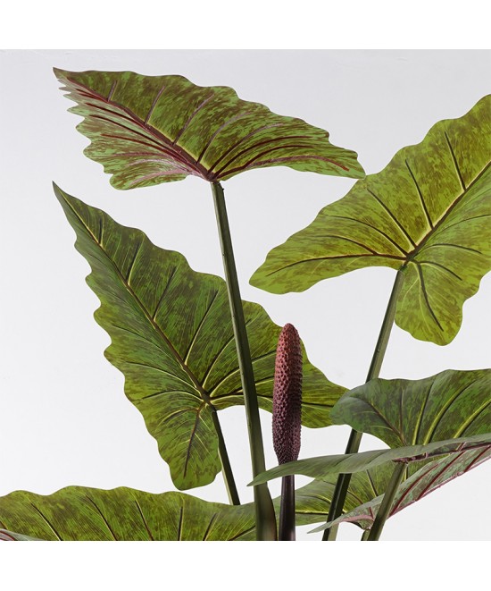 Διακοσμητικό φυτό σε γλάστρα Wentii Inart πράσινο Φ130x180εκ Διακοσμητικό φυτό σε γλάστρα Wentii Inart πράσινο Φ130x180εκ