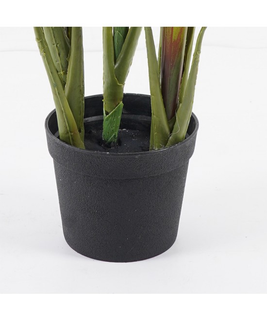 Διακοσμητικό φυτό σε γλάστρα Cycas Inart πράσινο Φ55x80εκ