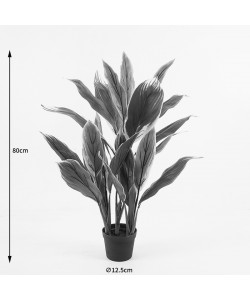 Διακοσμητικό φυτό σε γλάστρα Cycas Inart πράσινο Φ55x80εκ