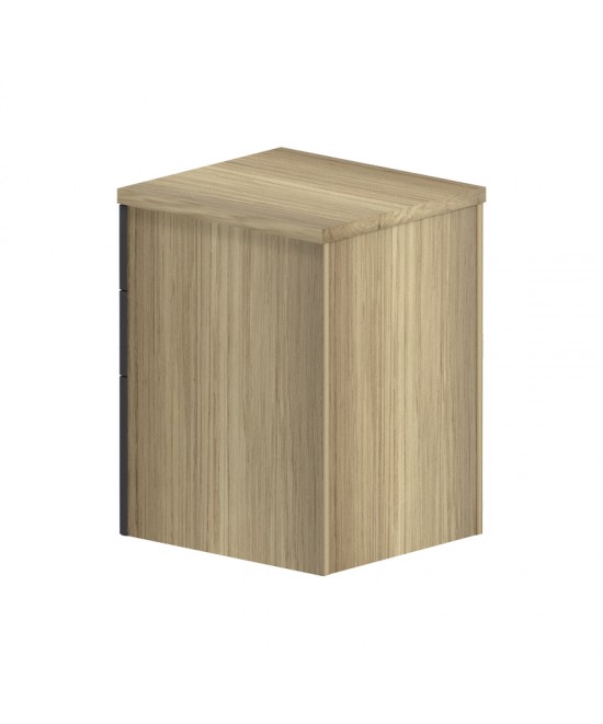 Συρταριέρα επαγγελματική τροχήλατη Lotus pakoworld 3ων συρταριών σε φυσική-ανθρακί απόχρωση 40x44x61εκ Συρταριέρα επαγγελματική τροχήλατη Lotus pakoworld 3ων συρταριών σε φυσική-ανθρακί απόχρωση 40x44x61εκ