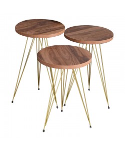 Βοηθητικά τραπέζια Wakmi pakoworld σετ 3τεμ φυσικό-πόδι χρυσό μέταλλο