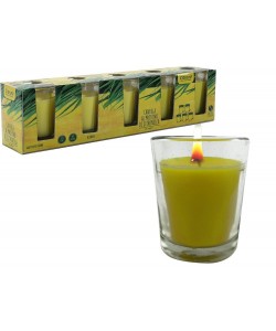 Κερί 45g Άρωμα Lemongrass Σε Γυάλινο Ποτήρι Φ5x6cm Σετ 5Τμχ