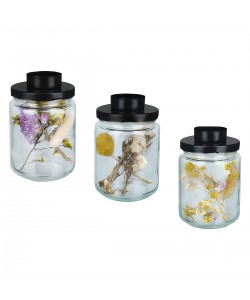 Δοχείο ArteLibre Με Αποξηραμένα Φυτά Και Βιδωτό Καπάκι Με Θήκη Ρεσώ Διάφανο/Μαύρο Γυαλί/Μέταλλο 12.5cm Σε 3 Σχέδια