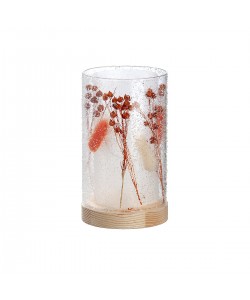 Θήκη Ρεσώ Με Αποξηραμένα Λουλούδια Φωτιζόμενη 10 LED Κρεμ Γυαλί 16cm