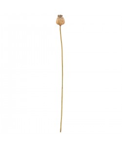 Κλαδί Σενέκιο ArteLibre Τεχνητό Καφέ 55cm