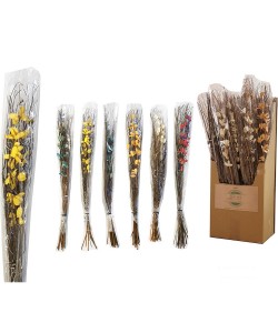Μπουκέτο Ξηρά Λουλούδια 100CM Σε 6 Χρώματα