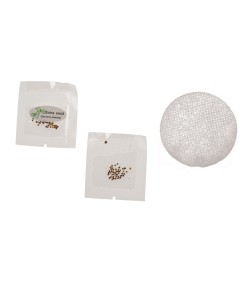 Τυχερό Τετράφυλλο Τριφύλλι Σε Πλαστική Γλάστρα Τυχερό Τετράφυλλο Τριφύλλι Σε Πλαστική Γλάστρα