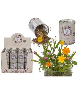 Λουλούδια Σε Κονσέρβα