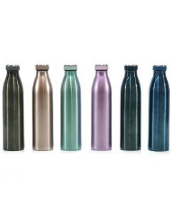Μπουκάλι Θερμός 750ml Ατσάλι Σε 6 Χρώματα