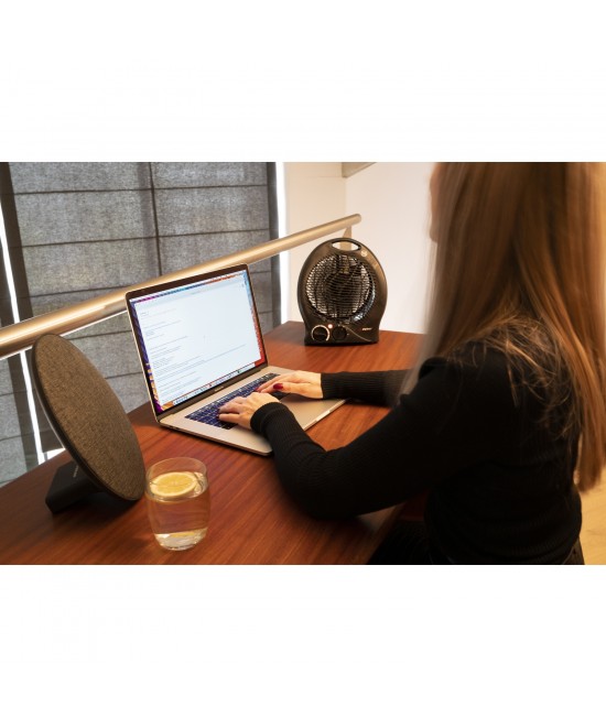 Αερόθερμο Με 2 Επιλογές Θερμοκρασίας Μαύρο 2000W 22x13x27cm ALPINA