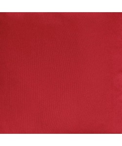 LINO ΤΡΑΒΕΡΣΑ RENAS 113 RED 45Χ160 LINO ΤΡΑΒΕΡΣΑ RENAS 113 RED 45Χ160