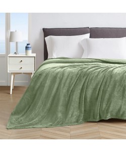 LINO ΚΟΥΒΕΡΤΑ ΒΕΛΟΥΤΕ PELLO MINT 220X240